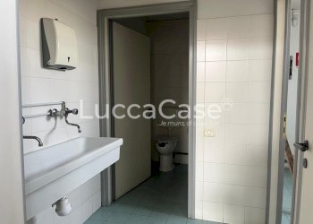 Capannone Lucca (zona San Marco) - foto 7