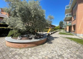 Trilocale Grugliasco - foto 20