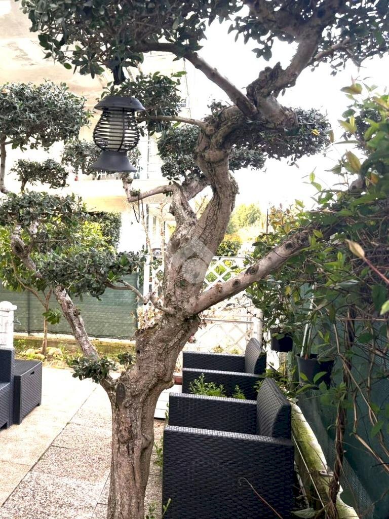 Trilocale Via Turchetta, Rimini - foto 2