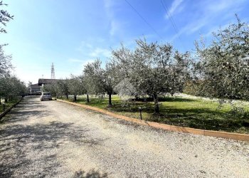 Rustico Via Ravarino, Rimini - foto 22