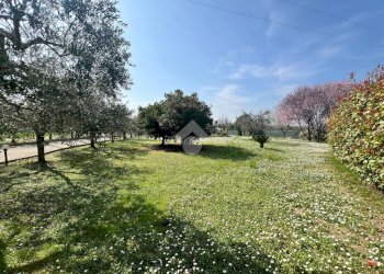 Rustico Via Ravarino, Rimini - foto 23