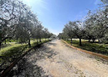 Rustico Via Ravarino, Rimini - foto 24