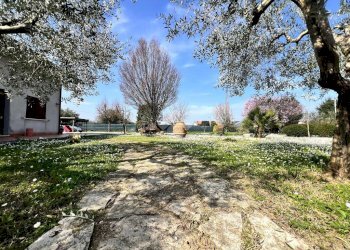 Rustico Via Ravarino, Rimini - foto 28