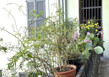 Trilocale Viale Abruzzi, Milano (zona Città Studi) - foto 37