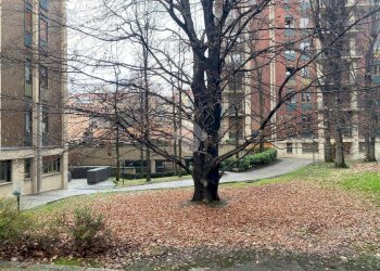 Trilocale Via Angelo Fumagalli, Milano - foto 36