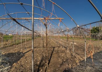 Casa indipendente Strada Vottignasco, 31, frazione Levaldigi, Savigliano - foto 96