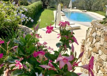 Villa Dolceacqua - photo 7