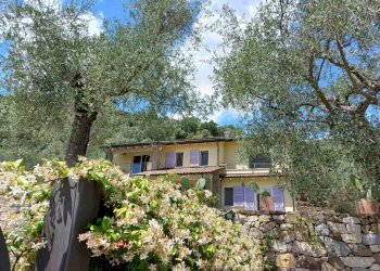 Villa Dolceacqua - photo 14