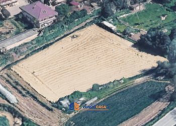 Terreno agricolo Monticello d'Alba - foto 4