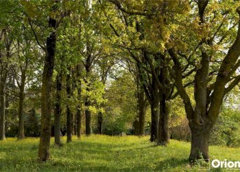 Villa Maranello - foto 5