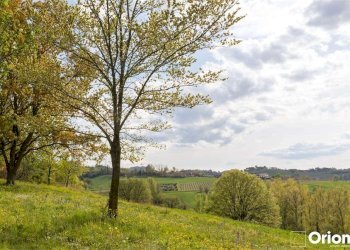 Villa Maranello - foto 6