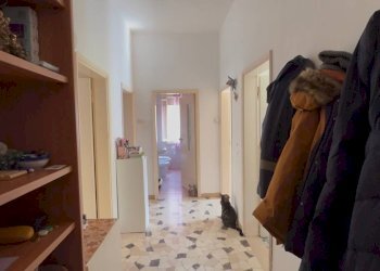 Four-room apartment Imola - photo 2