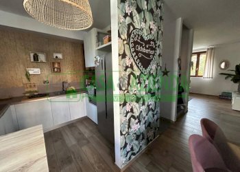 Villa via dei Gelsi, Colverde - foto 3