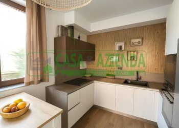 Villa via dei Gelsi, Colverde - foto 4