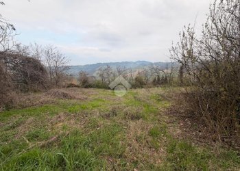 Rustico Via Serra, Valsamoggia (zona Torrazzi) - foto 8