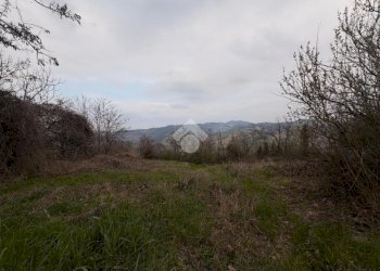 Rustico Via Serra, Valsamoggia (zona Torrazzi) - foto 11