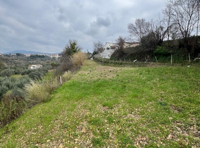 Terreno agricolo Sessa Aurunca - foto 1