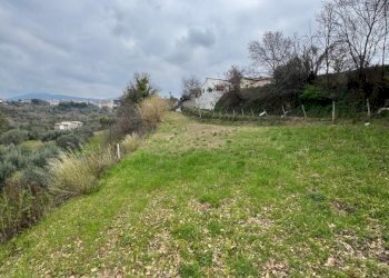 Terreno agricolo Sessa Aurunca - foto 1