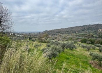 Terreno agricolo Sessa Aurunca - foto 2