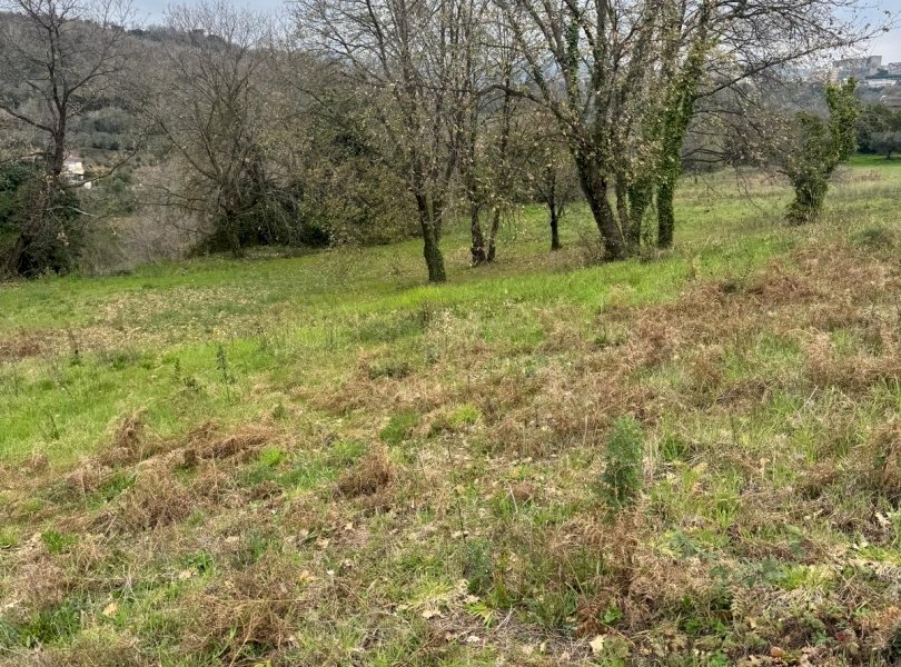 Terreno agricolo Sessa Aurunca - foto 1