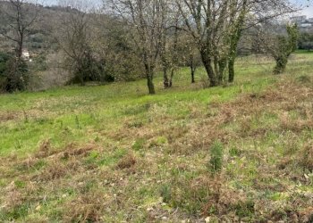 Terreno agricolo Sessa Aurunca - foto 1