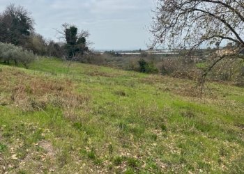 Terreno agricolo Sessa Aurunca - foto 4