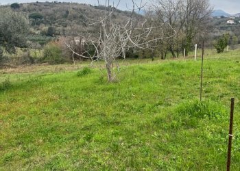 Terreno agricolo Sessa Aurunca - foto 5