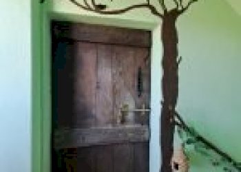 Agricultural land Canelli - photo 17