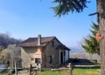 Agricultural land Canelli - photo 22