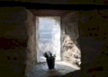 Agricultural land Canelli - photo 29