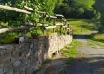 Agricultural land Canelli - photo 39