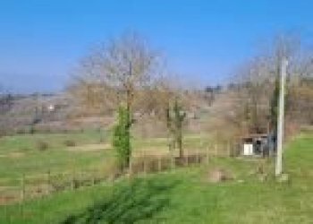 Agricultural land Canelli - photo 41