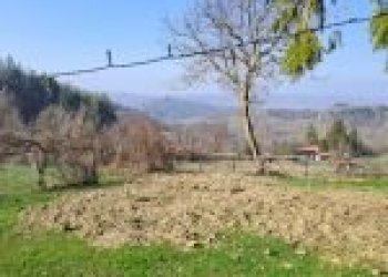 Agricultural land Canelli - photo 42