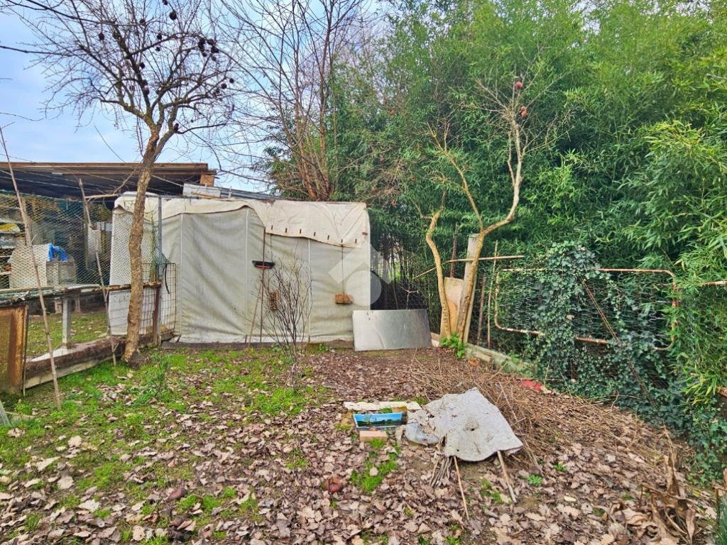 Terreno agricolo Via roma, San Giovanni in Marignano - foto 3