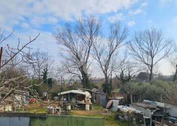Terreno agricolo Via roma, San Giovanni in Marignano - foto 12