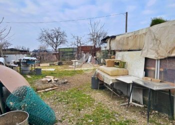 Terreno agricolo Via roma, San Giovanni in Marignano - foto 17