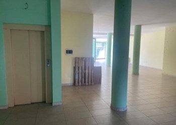 Commercial Premises Moncalieri - photo 13