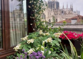 Trilocale Milano - foto 14