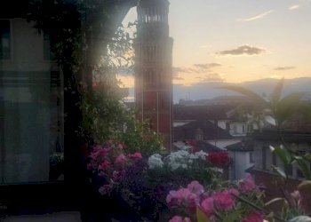 Trilocale Milano - foto 17