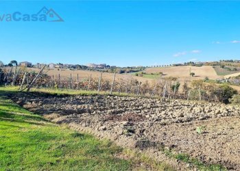 Rustico via cassero 15, Camerata Picena - foto 37