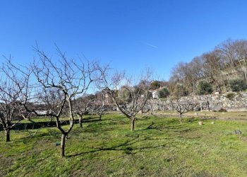 Terreno edificabile Via San Lorenzo, Ivrea - foto 6