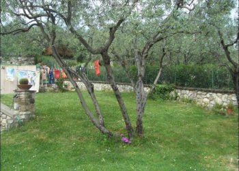 GIARDINO - Casale Firenze (neighborhood Castello) - photo 8