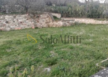 64065ff7-d328-4656-a3d9-65797119359f.jpeg - Casale Firenze (neighborhood Castello) - photo 19