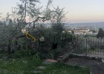 3d23eb63-37bf-4c4d-be0a-2285b77128d6.jpeg - Casale Firenze (neighborhood Castello) - photo 22