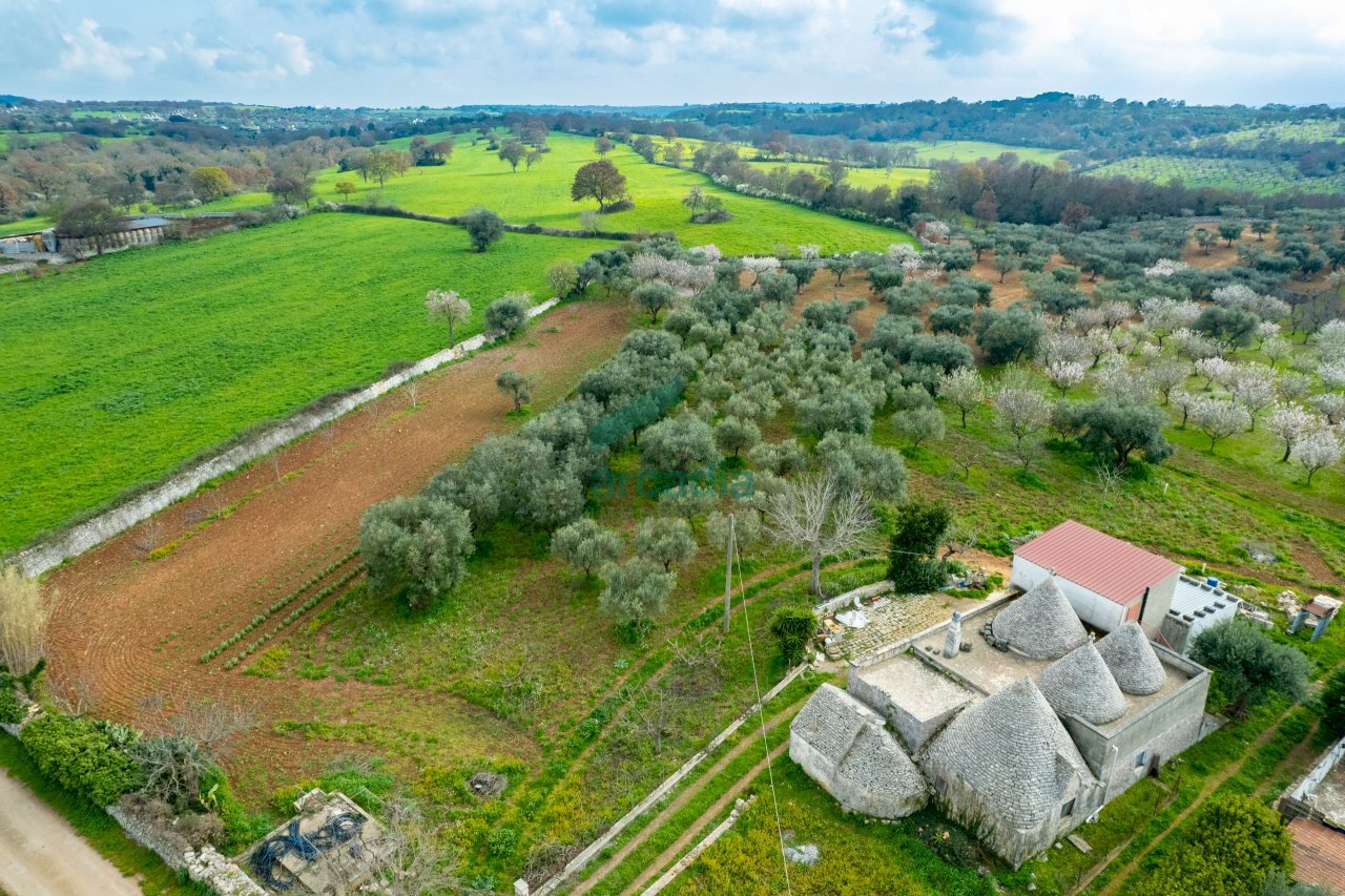 dettagli - Casale Contrada Terranova, Monopoli - foto 1