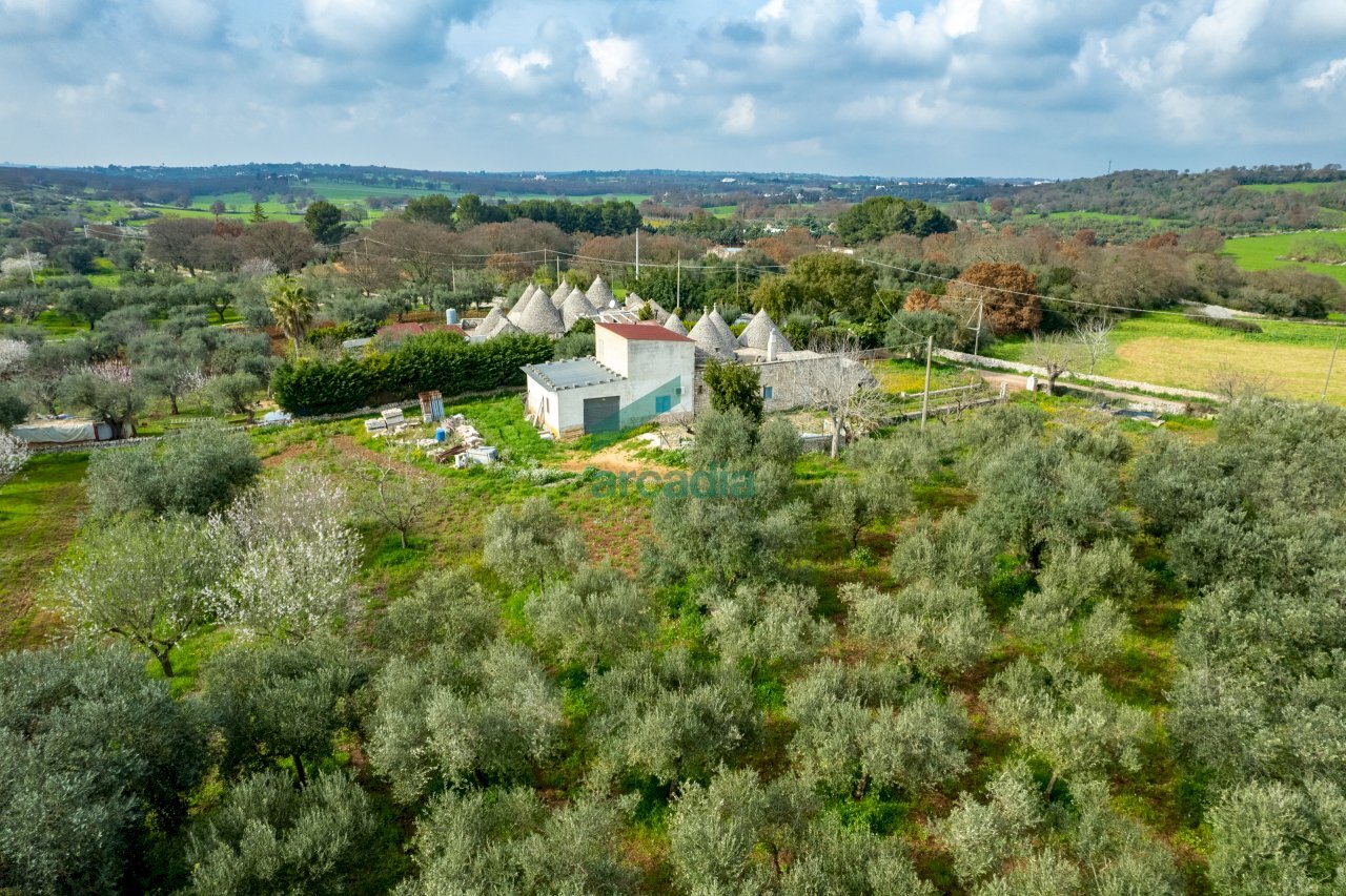 viste - Casale Contrada Terranova, Monopoli - foto 2
