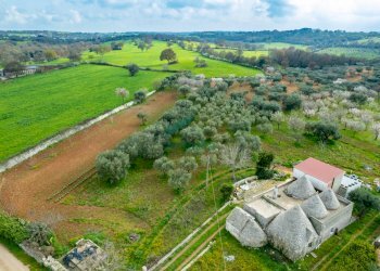 dettagli - Casale Contrada Terranova, Monopoli - foto 1