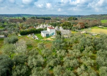 viste - Casale Contrada Terranova, Monopoli - foto 2