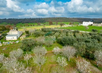 viste - Casale Contrada Terranova, Monopoli - foto 7