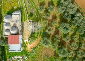 dettagli - Casale Contrada Terranova, Monopoli - foto 8